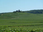 P1200501
