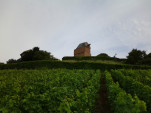 IMG 20130822 164951