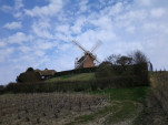 IMG 20140318 150037