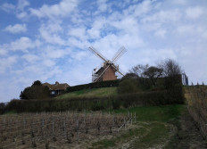 Moulin de Verzenay