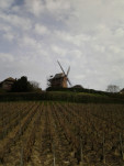 IMG 20140318 145942