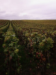 Mailly 02
