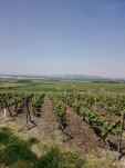 Mailly 04