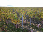 IMG 20131102 143639
