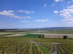 IMG 20130602 163954