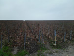 IMG 20131123 101602
