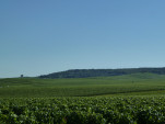 P1200500