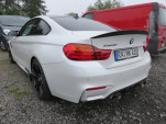 IMG 5794