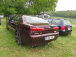 IMG 6729