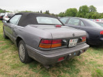 IMG 6789