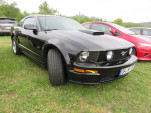 IMG 6573
