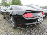 IMG 5784