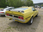 IMG 7541