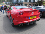 IMG 7651