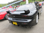IMG 7454