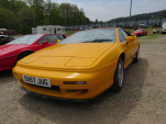 IMG 7537