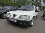 IMG 7604
