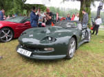 IMG 9260