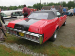 IMG 8994