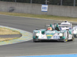 IMG 0274