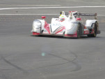 IMG 0859