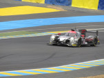 IMG 0480