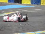 IMG 0721
