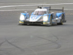 IMG 0841