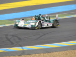 IMG 0511