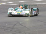 IMG 0785
