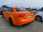 IMG 9958