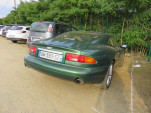 IMG 8817