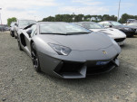 IMG 9973
