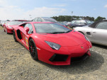 IMG 9939