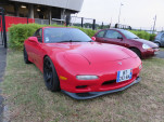 IMG 0541