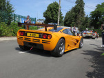 IMG 9566