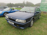 IMG 2579