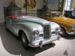 IMG 2775