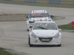 IMG 4541