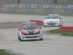 IMG 4617