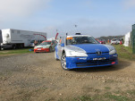 IMG 4954
