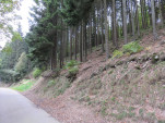 IMG 4312