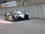IMG 4446