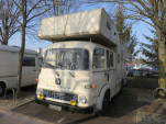 IMG 6356