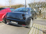 IMG 6339