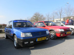 IMG 6377