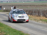IMG 7637
