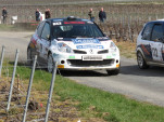 IMG 7537