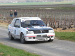 IMG 7547