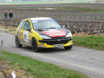 IMG 7435